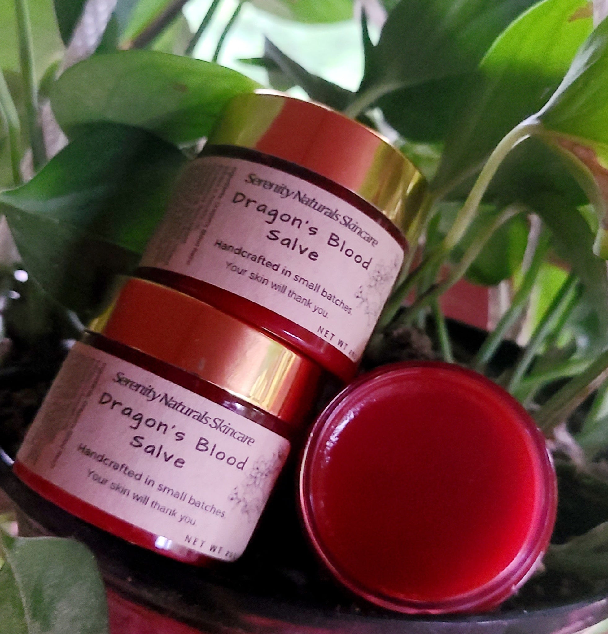 Dragon's Blood Salve